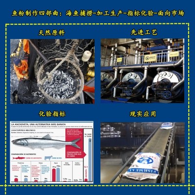 脱脂鱼粉腥香高蛋白促进生长 核心营养养殖好帮手 吸收率高图4
