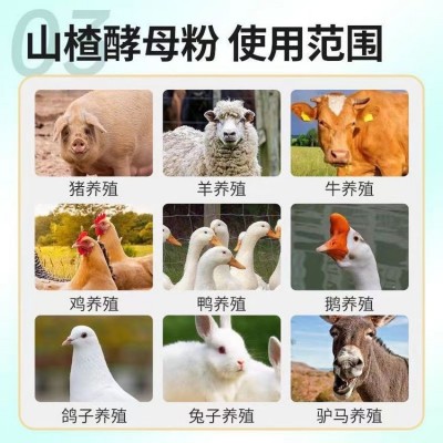 牧祥饲料 牛羊山楂酵母粉 动物饲料添加剂 增进食欲图2