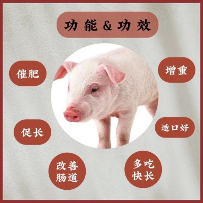 强化2号仔猪浓缩料 优质蛋白畜禽类饲料 中大型养猪场专用生长料图3