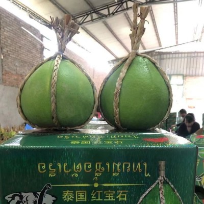 泰国青皮蜜柚苗 嫁接柚子树苗 红宝石青柚苗出售图2