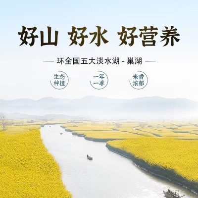 【原粮定制】米厂籼米长粒米贴牌一件代发原粮采购加工图5
