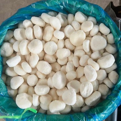 速冻马蹄荸荠粒 工厂直供餐饮甜品专用原料 冷冻锁鲜可批发图2