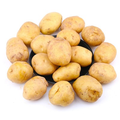 【严选】恩施小土豆 新鲜现挖土豆迷你蔬菜洋芋黄心土豆代发图3