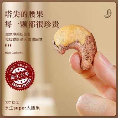 带皮腰果仁原味盐焗坚果炒货零食大颗粒越南特产紫皮腰果散装批发图3