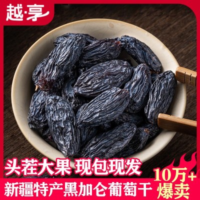 正宗新疆特产超大黑加仑葡萄干自然晾干免洗新鲜果干孕妇零食批发图2