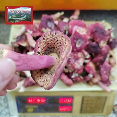 广西特产大红菌干货散装香甜红面菇厂家批发正红菇红蘑菇月子菇图4