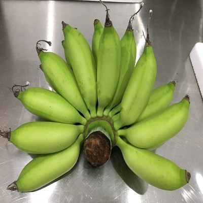 海南本地小米蕉整箱新鲜水果顺丰包邮小香蕉5/10/斤非广西红皮香图2
