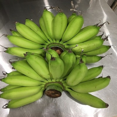 海南本地小米蕉整箱新鲜水果顺丰包邮小香蕉5/10/斤非广西红皮香图3