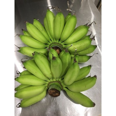 海南本地小米蕉整箱新鲜水果顺丰包邮小香蕉5/10/斤非广西红皮香图5