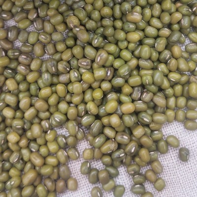陕北笨绿豆500克五谷杂粮绿小豆真空 人工挑选大量批发山地绿豆图4