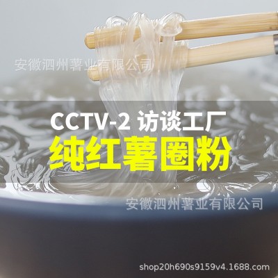 泗县 粉丝过亿纯红薯圈粉400g/袋 火锅 麻辣烫 免泡食材图2