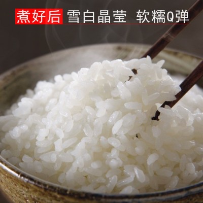 东北大米10斤 食堂自用长粒香珍珠米色选白米 厂家直批寒地鲜白米图4