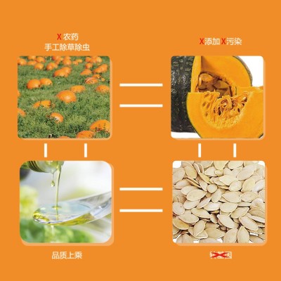 五谷城南瓜籽油 冷榨脱蜡 食用油 送礼批发图2