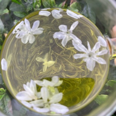 茶叶茉莉花茶新茶高山浓香型飘雪茉莉花茶散装茉莉茶叶500g图5