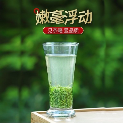 批发茶叶信阳毛尖新茶雨前春茶浓香耐泡高山绿茶手工春 茶500g图3