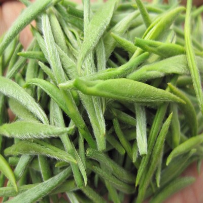 信阳毛尖茶叶绿茶春茶毛尖茶 源产直销礼盒装图3