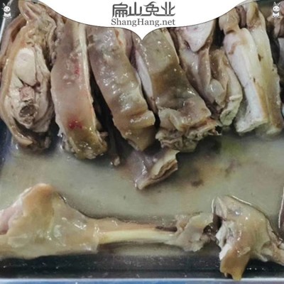 纯正一元伊拉兔 新西兰种兔子养殖基地一对 2-8斤左右图5