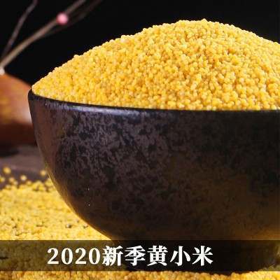 扶风寨米脂黄小米礼盒图2