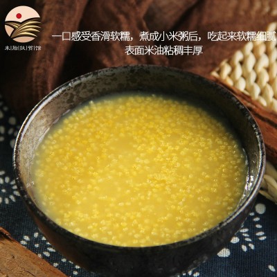 扶风寨米脂黄小米礼盒图4