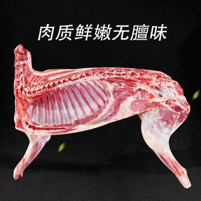 宁夏盐池滩羊 新鲜现杀整只白条羊 烤全羊手抓羊肉烧烤火锅涮羊肉图4