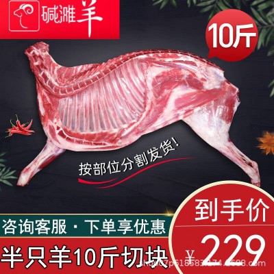 碱滩羊 草原散养羊肉带骨半只羊羔羊羊肉商用批发图2