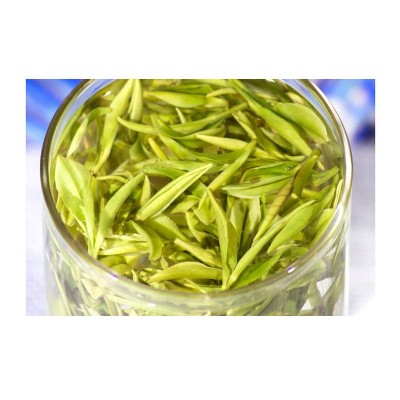 厂家松阳高山白茶散装批发 现货新茶毛峰茶 产地浙江绿茶茶叶图5