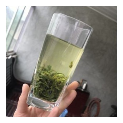 厂家大量批发新茶春茶浓香型绿茶香茶支持取样图2