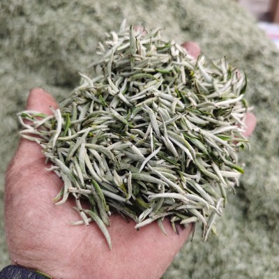 产地货源蜀芽春雪茉莉花茶兰花茶兰妃茶飘雪茶胚源头工厂定制加工图4