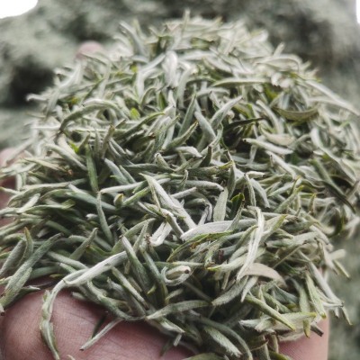 产地货源蜀芽春雪茉莉花茶兰花茶兰妃茶飘雪茶胚源头工厂定制加工图3
