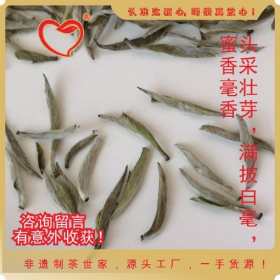 工厂直供福建白毫银针春茶预订大白茶白毫银针图3