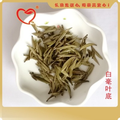 工厂直供福建白毫银针春茶预订大白茶白毫银针图5