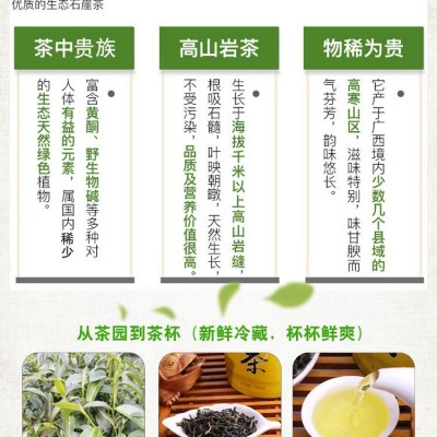 漓江阳发新茶厂家直销 广西石崖茶 猴摘茶 平乐石崖茶图5