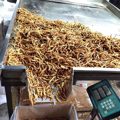 炒红薯条500g 沙炒薯条 连城地瓜干地瓜坊 厂家批发散装新货代发图3