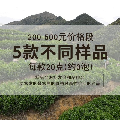 凤凰单丛茶样品茶叶批发 乌龙茶单枞茶厂家凤凰单枞茶商用供应图2