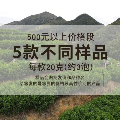 凤凰单丛茶样品茶叶批发 乌龙茶单枞茶厂家凤凰单枞茶商用供应图3