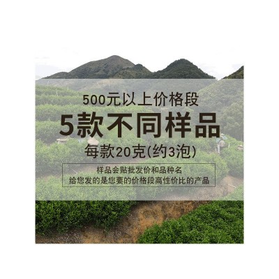 凤凰单丛茶样品茶叶批发 乌龙茶单枞茶厂家凤凰单枞茶商用供应图5