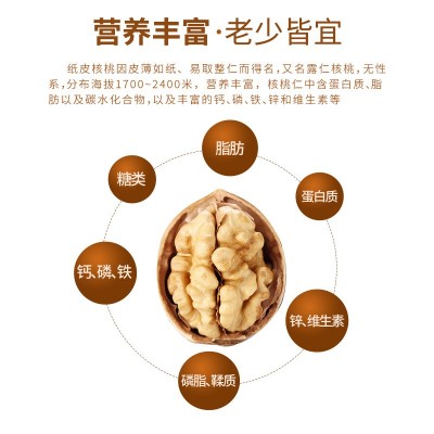 新会特产食品罐装陈皮核桃 香脆休闲坚果送礼佳品纸皮核桃批发图3