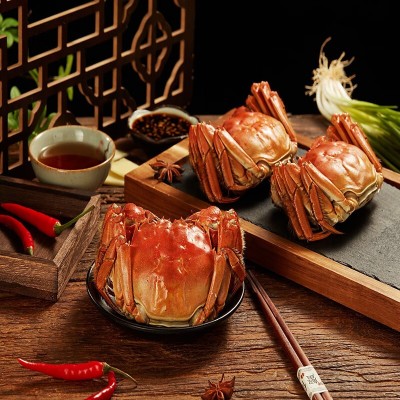 大闸蟹螃蟹鲜活特大可全公母新鲜水产清水大闸蟹活蟹10只批发团购图4