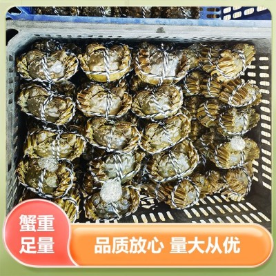 大闸蟹鲜活 现货生鲜礼盒团购 原产地直发 谷垛农业图5