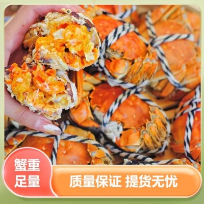 大闸蟹鲜活 现货生鲜礼盒团购 原产地直发 谷垛农业图3