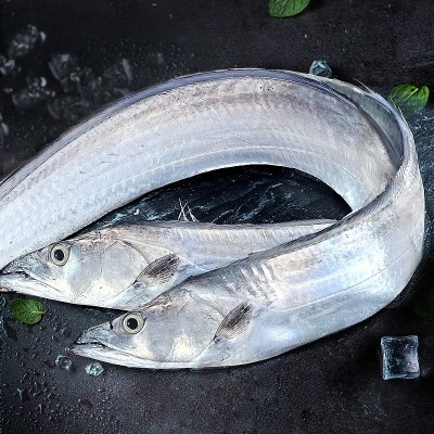 带鱼新鲜冷冻海鲜刀鱼中段鲜活带鱼段特大海鱼深海带鱼段独立包装图3