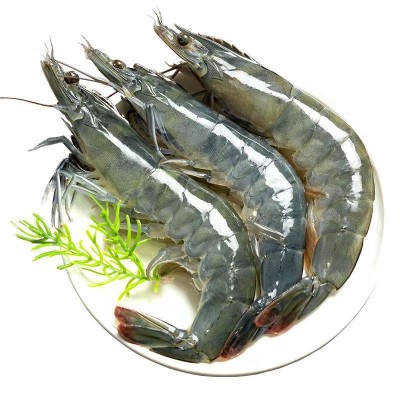 大虾鲜活速冻水产海鲜冷冻基围甜虾海虾对虾厄瓜多尔白虾顺丰包邮图4