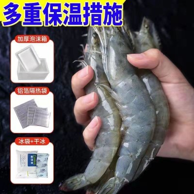 大虾鲜活速冻水产海鲜冷冻基围甜虾海虾对虾厄瓜多尔白虾顺丰包邮图3