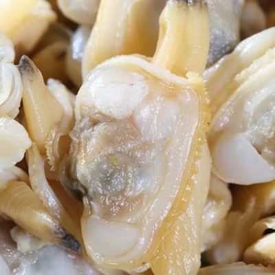 新鲜花甲肉海水花蛤文蛤水产大黄蚬子鲜活冰产黄蚬子肉捞汁小海鲜图2