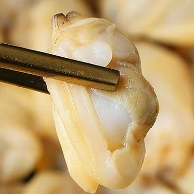 新鲜花甲肉海水花蛤文蛤水产大黄蚬子鲜活冰产黄蚬子肉捞汁小海鲜图3