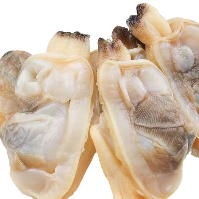 新鲜花甲肉海水花蛤文蛤水产大黄蚬子鲜活冰产黄蚬子肉捞汁小海鲜图5