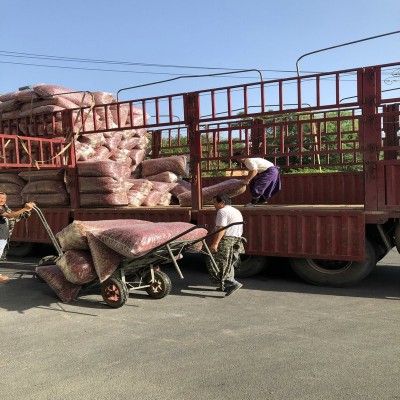 福建辣椒王香辣皮厚耐煮- 鸭脖卤制品龙虾专用辣椒王-古田辣椒王图2