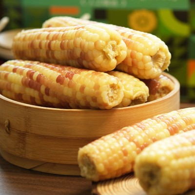 德和西双版纳甜糯玉米2kg/箱熟制糯玉米云南特产玉米棒图4