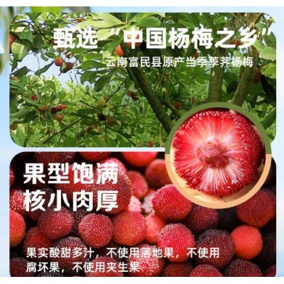 云南特产德和新品杨梅糖水罐头400g罐水果罐头水果捞酸梅汤图3