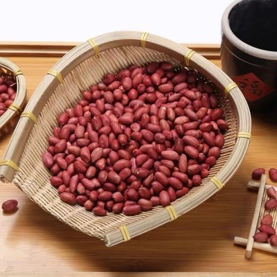 现磨五谷杂粮豆浆粉专用原料 厂家供应红皮花生 低温烘培熟花生米图2